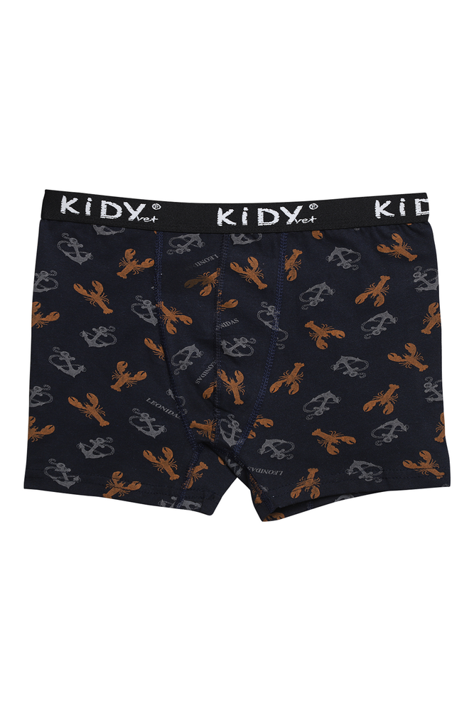 Likralı Empirme Çocuk Boxer 1638-2 | Lacivert