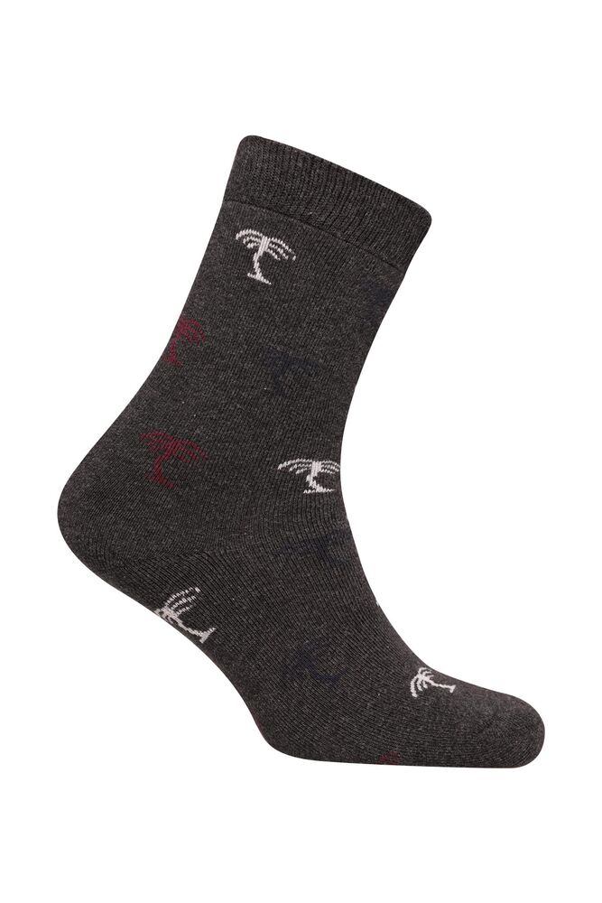 Pola Sırça Kadın Havlu Çorap 1934 | Antrasit